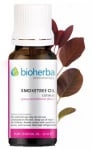 Bioherba Smoketree oil 10 ml.