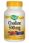 Choline 500 mg 100 tablets Nature's Way / Холин 500 мг. 100 таблетки Nature's Way