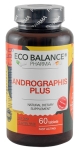 ЕКО БАЛАНС АНДРОГРАФИС ПЛЮС таблетки * 60