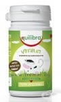 ЕКВИЛИБРА ВИТАЛЕ КИДС дражета * 40