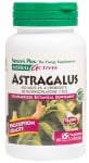 НЕЙЧЪРС ПЛЮС HERBAL ACTIVES АСТРАГАЛ капсули 450 мг * 60