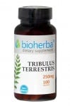 Bioherba tribulus terrestris 2