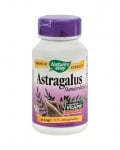 Astragalus 500 mg 60 capsules Nature`s way / Астрагал 500 мг 60 капсули Nature`s way