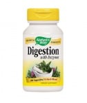 Digestion with enzymes mix 100
