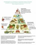Препоръки за здравословно хранене