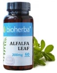 Bioherba Alfalfa leaf 200 mg 6