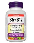 Vitamin B6 + Vitamin B12 + fol