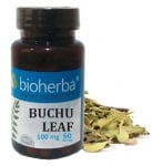 Bioherba buchu leaf extract 10