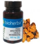 Bioherba full spectrum chaga m