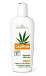 Cannaderm Capillus shampoo aha