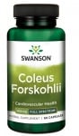 Swanson Coleus forskohlii 400