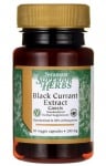 Swanson black currant extract 200 mg 30 capsules / Суонсън екстракт от Касис 200 мг. 30 капсули