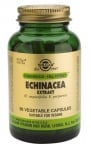 Echinacea leaf 60 capsules Sol