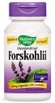 Forskohlii 60 capsules Nature's Way / Форсколий 60 капсули Nature's Way