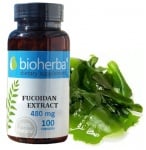 Bioherba Fucoidan extract 480
