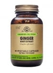 Ginger root extract 60 capsule