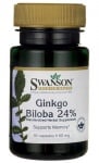 Swanson Ginkgo biloba 60 mg 30