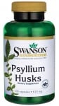 Swanson Psyllium husks 610 mg