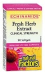 Echinamide fresh herb extract