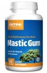 Jarrow Formulas mastic gum 500