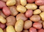 Картофите - една подценявана здравословна храна