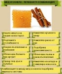 Мед и канела - лечебната комбинация