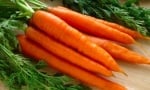 Морковите - вкусни и много полезни за здравето