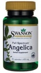 Swanson Full spectrum Angelica
