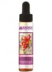 Aura oil of Bulgarian rosehip