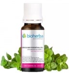 Bioherba Oregano essential oil