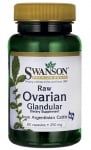 Swanson Raw ovarian glandular