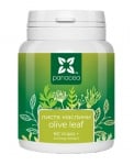 Panacea Olive leaf 400 mg 60 c