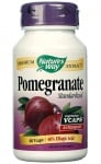Pomegranate 350 mg. 60 capsule