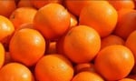 10 причини да ядете портокали