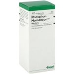 Phosphor-Homaccord / Фосфор-Хо