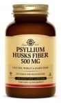 Psyllium husks fibre 500 mg 20