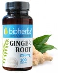 Bioherba Ginger root 290 mg 10