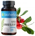 Bioherba Uva ursi leaf 250 mg